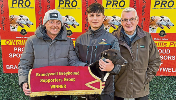 Derry Greyhounds: Farrell family&rsquo;s fantastic treble triumph at Brandywell