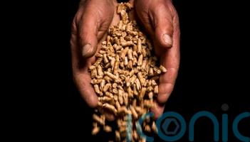 Closure of RHI scheme to cost £196 million over next decade