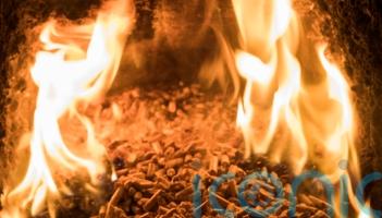 RHI Bill is continuation of payments rather than closure, committee head says