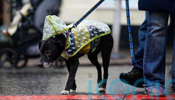 Storm Bram will lead to strong winds and heavy rain, forecasters warn