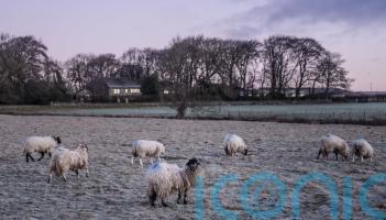 Snow warnings upgraded to amber in wintry start to new year