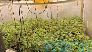 Four arrested after police uncover cannabis factory in Londonderry