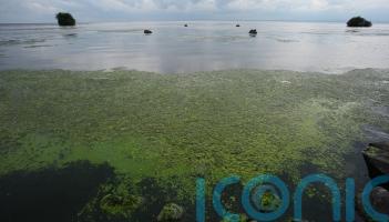 Environment Minister seeks approval to end NI Water &lsquo;licence to pollute&rsquo;