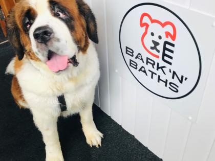 Ireland S First Doggie Bath Business Opens In Derry Derry Now