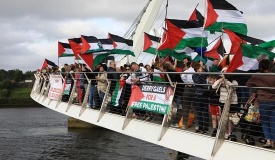 Councillor calls for support for Peace Bridge Vigil for Palestine on New Year's Eve