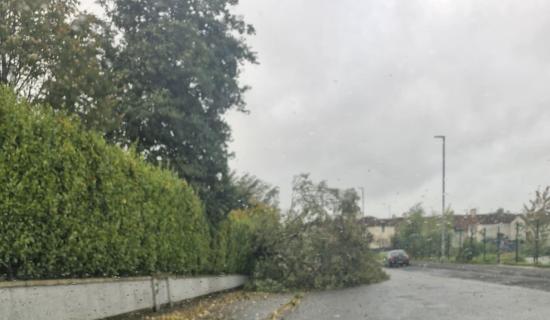 Number of trees blocking Derry roads as Storm Amy hits