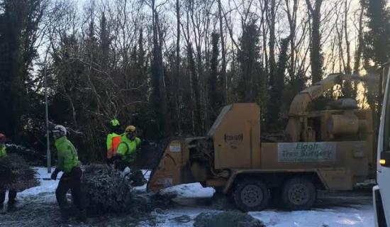 Foyle Hospice launches Christmas Tree Recycling Scheme