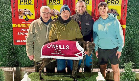 Derry Greyhounds: Galliagh Johnny: Brandywell&rsquo;s First Star of 2026