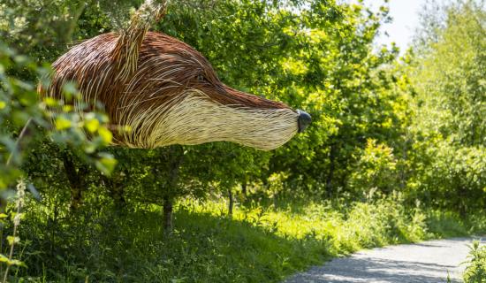 Family Nature Quest Event to take place in Faughan Valley Woodlands