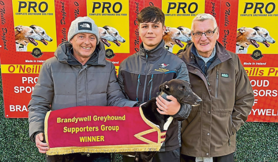 Derry Greyhounds: Farrell family&rsquo;s fantastic treble triumph at Brandywell