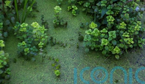 Earl pledges to work with Stormont to secure &lsquo;long-term future&rsquo; of Lough Neagh