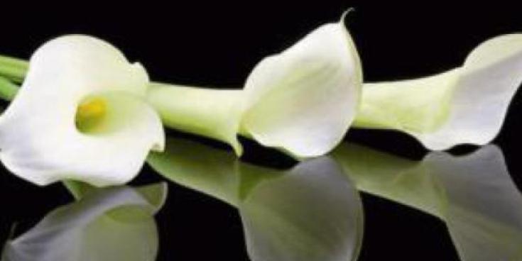 Derry Death Notices - Friday