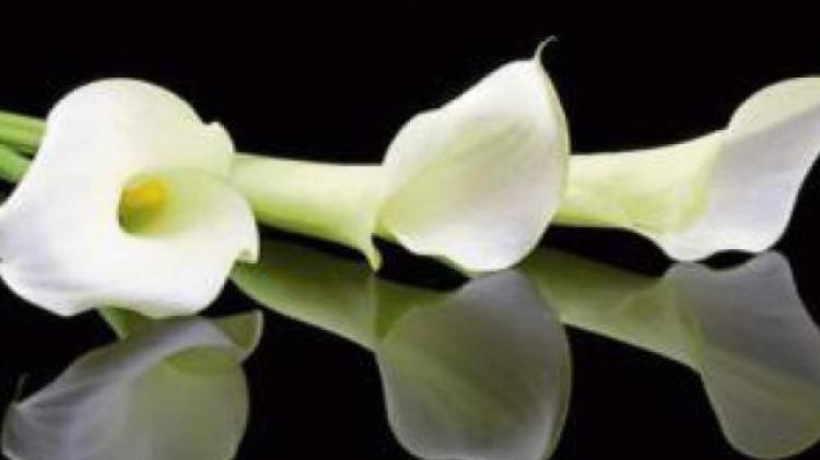 Derry Death Notices - Friday