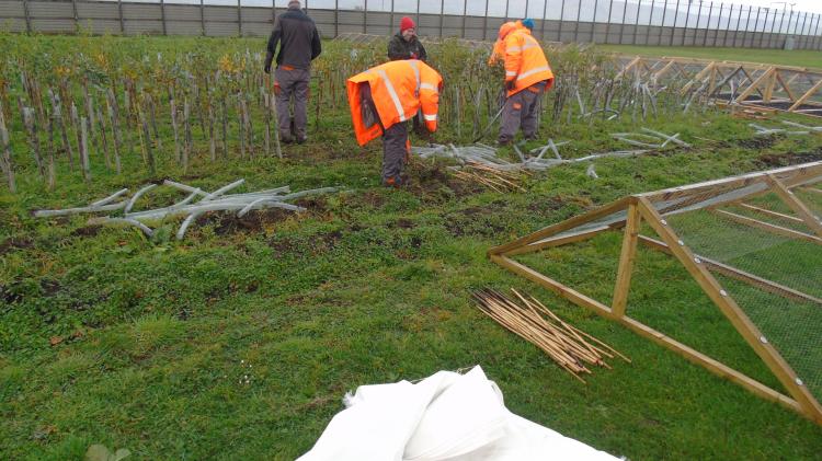 County Derry prison social enterprise offers sustainable native trees supporting reform and conservation