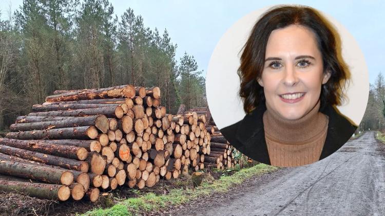 Brolly calls for continued transparency and community engagement on Garvagh Forest works