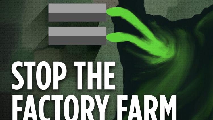 People Before Profit slam proposed Lough Neagh 'Mega-Farm'