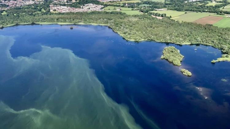 Lough Neagh sand mining likely harming lake&rsquo;s ecosystem, Queen&rsquo;s research warns