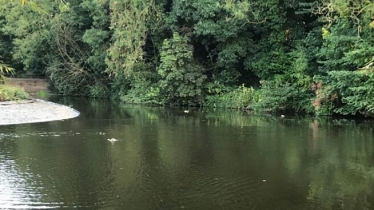 Public invited to take part in Big River Watch as concern grows around river health
