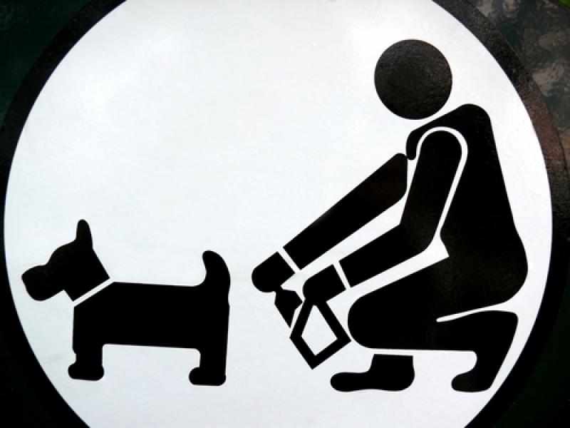 Dog fouling