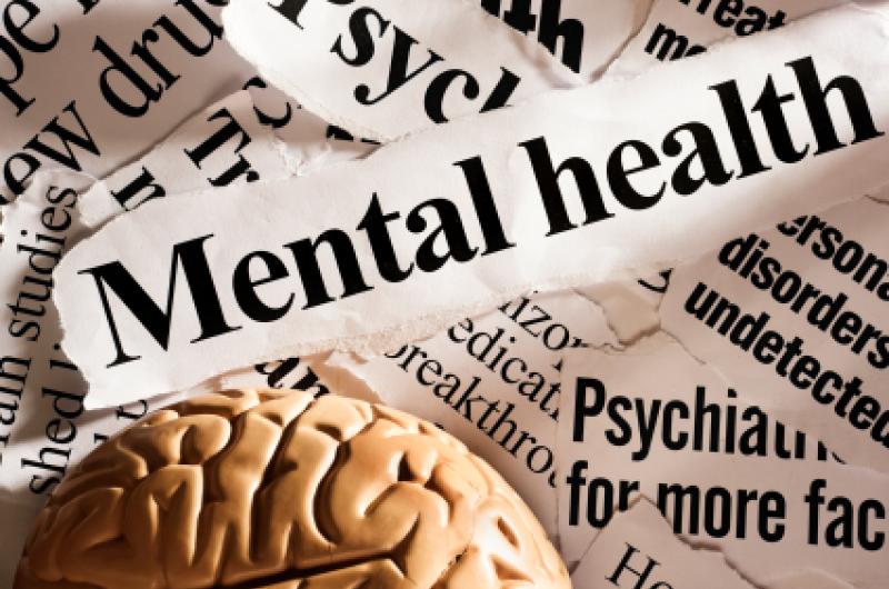 Louth TD critical of inadequate Child and Adolescent mental health supports in Louth