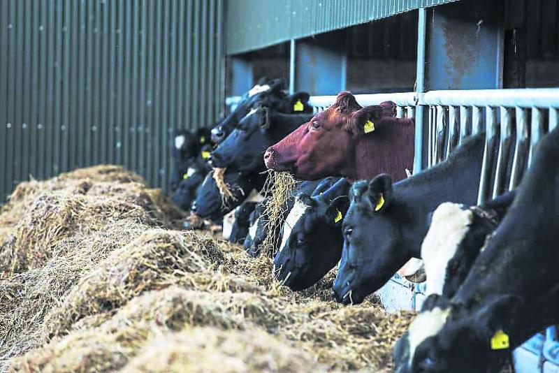 UK Budget causing concern to NI farmers
