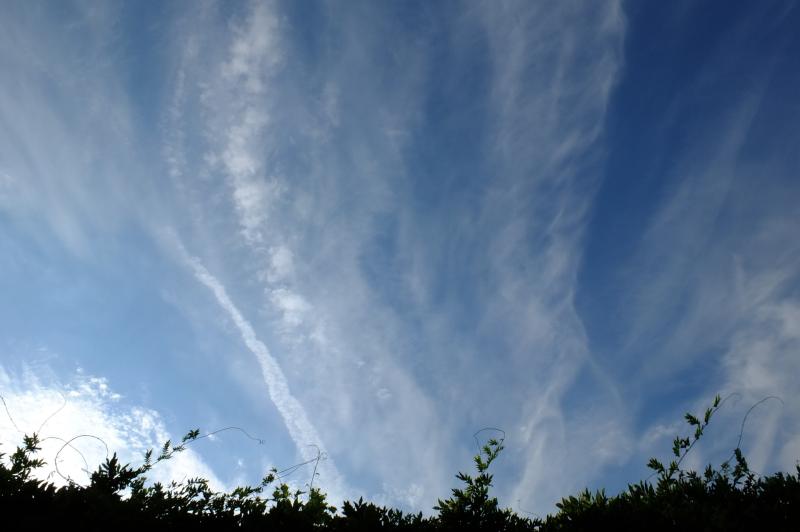 EPA calls on local authorities to target inspections to improve air quality