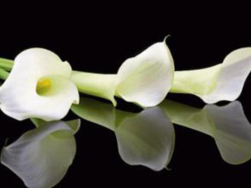 Waterford deaths and funerals (March 12)