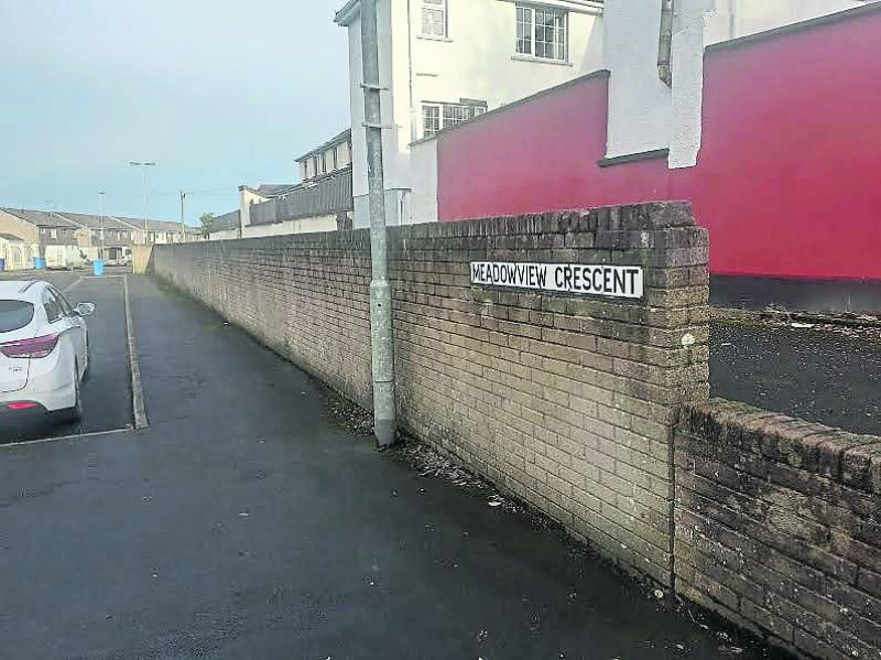 Meadowview landscaping plans welcomed by Derry SDLP MLA