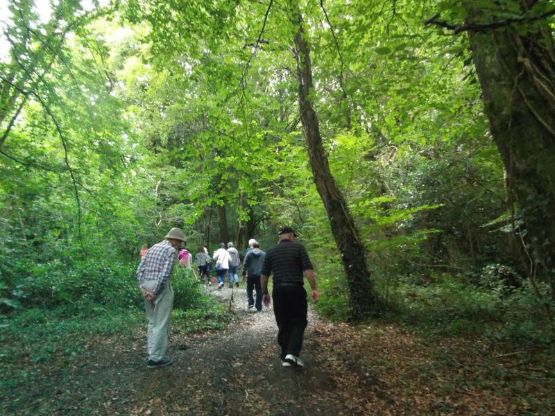 Derry’s elderly encouraged to join winter walking groups