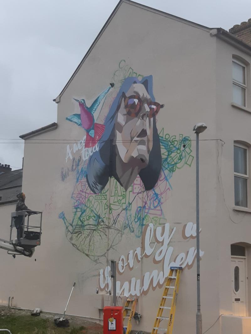 New face on the block on Chapel Road