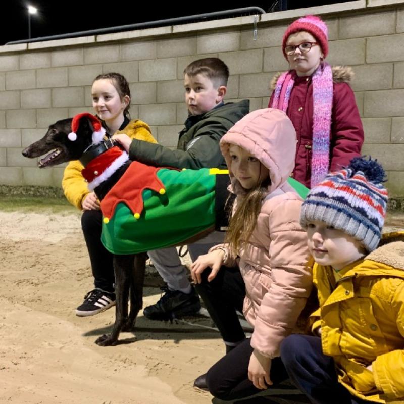 Greyhounds: Red Shilling Marathon takes centre stage