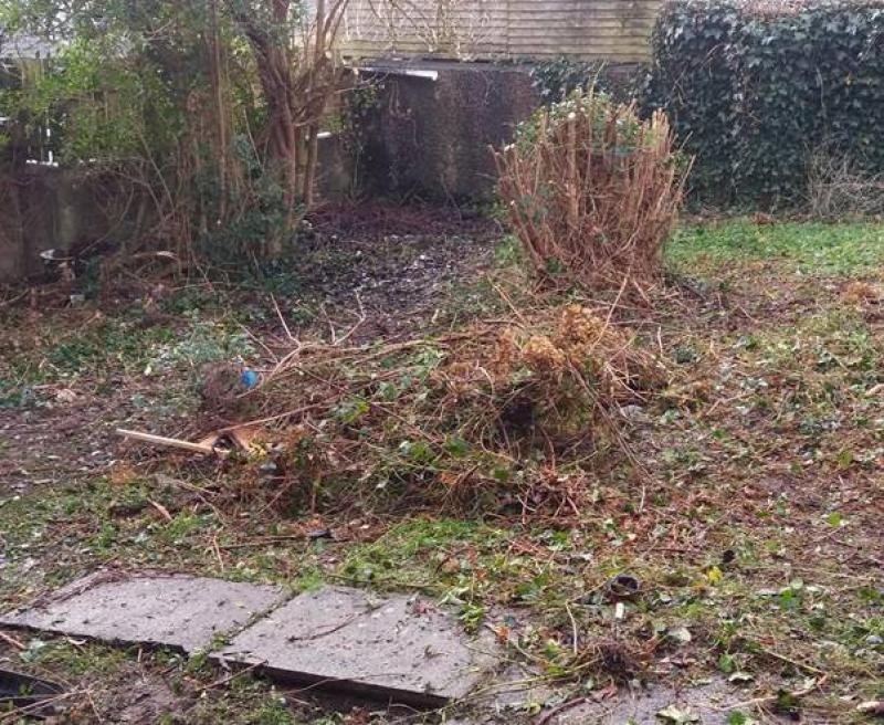 Fresh start to the new year in Oakfield area Derry Now