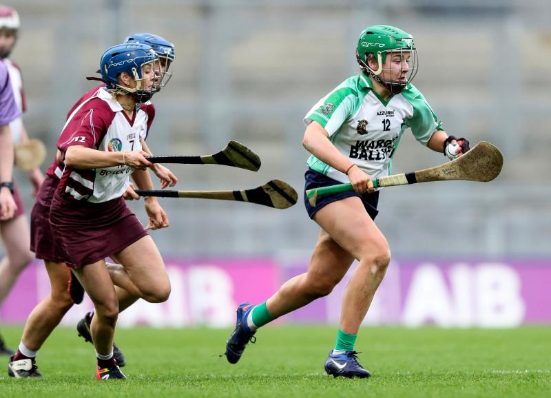 Looking to cast a 'Spell' on the All-Ireland champions
