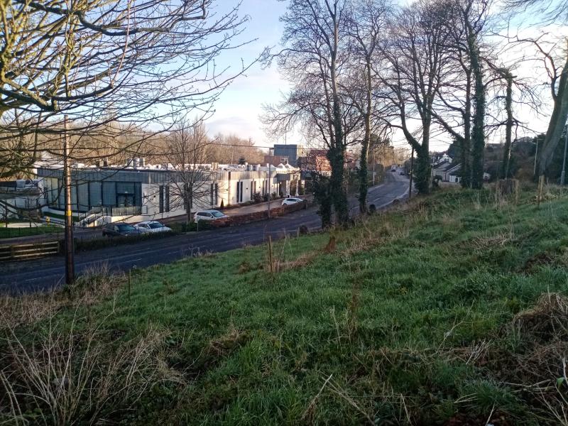 Prehen housing application approved despite concerns over trees