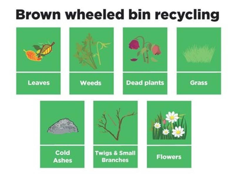 Brown bin info