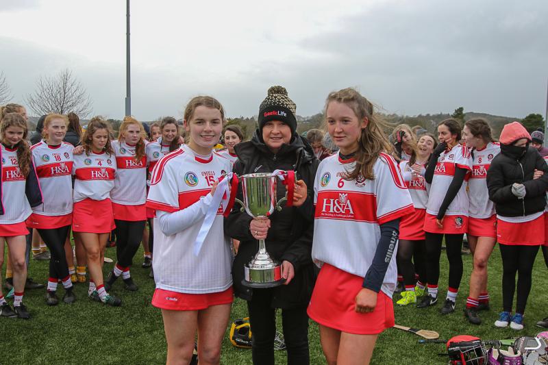 Objections to the camogie board's decision to scrap the minor championship