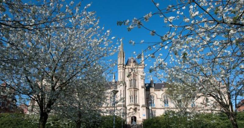 Cuts to nursing places will affect Ulster University, Magee
