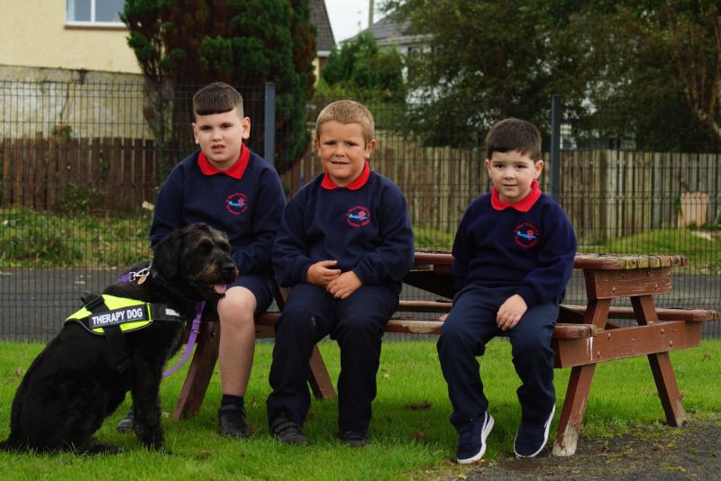 Derry school becomes the first mainstream school in Northern Ireland to get its own therapy dog