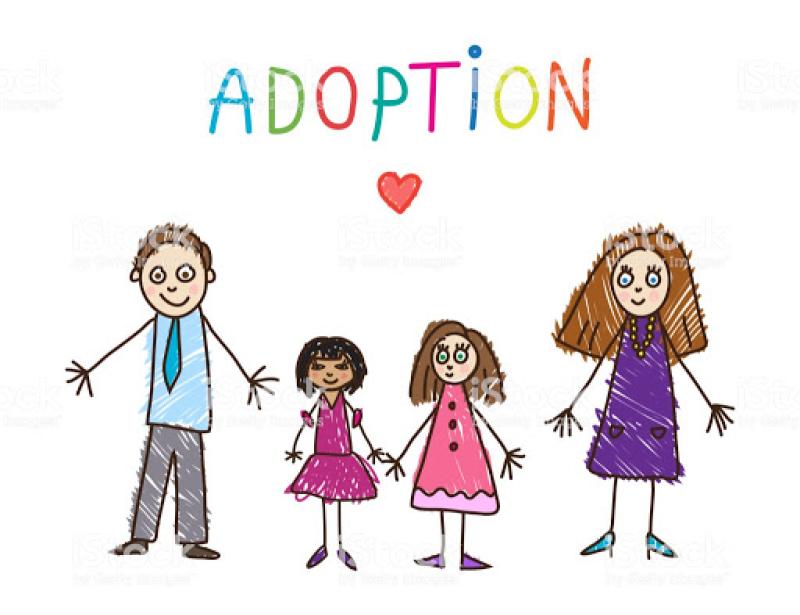 Adoption applications and enquires at an all-time low due to Covid-19