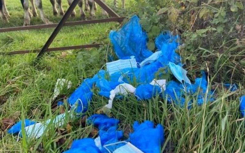 Vital personal protection equipment dumped at the side of a road in Derry