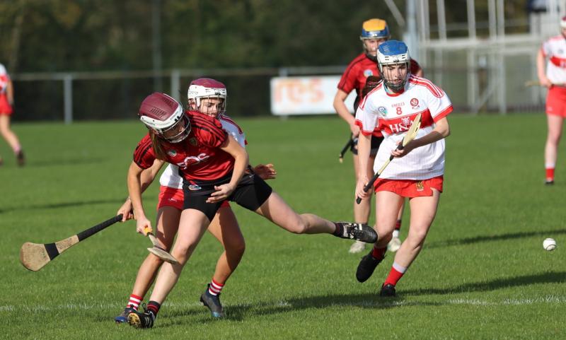 Derry camogs to meet Kildare in All-Ireland series