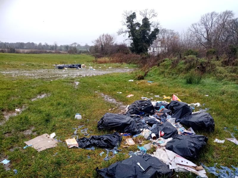 Anger at ‘disgusting’ dumping of food waste along Derry roads