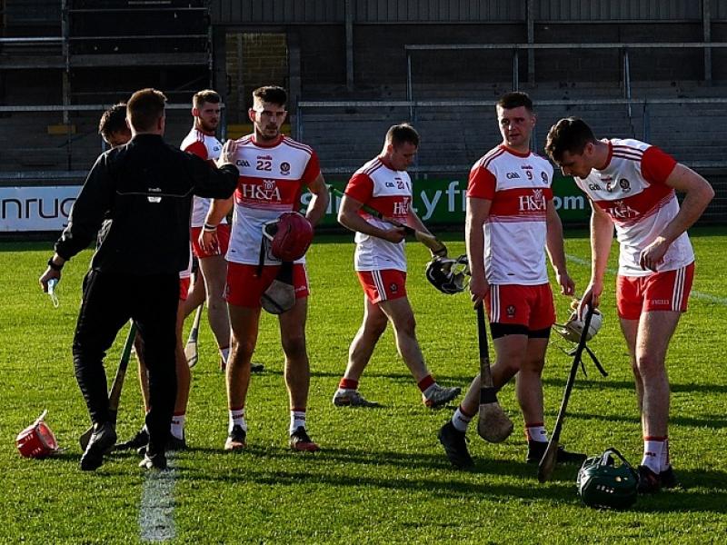 Cast your vote for 2020 senior inter-county hurler of the year