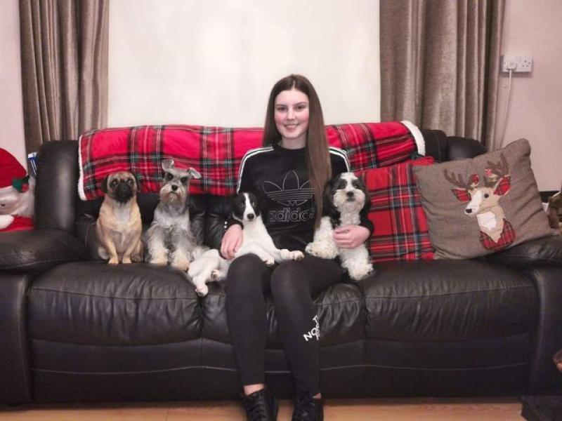 Maghera teenager uses the lockdown to launch her new dog-grooming business
