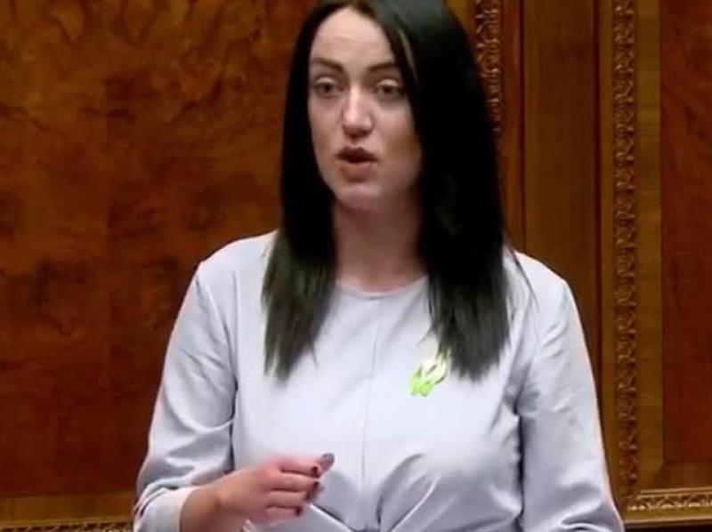 Sheerin: Delay in company director scheme 'unacceptable'