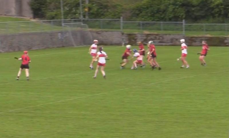 National Camogie League  - Derry v Down