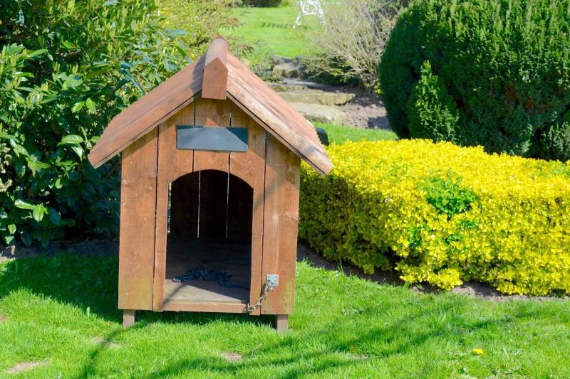County Derry man hid in dog kennel before assaulting police
