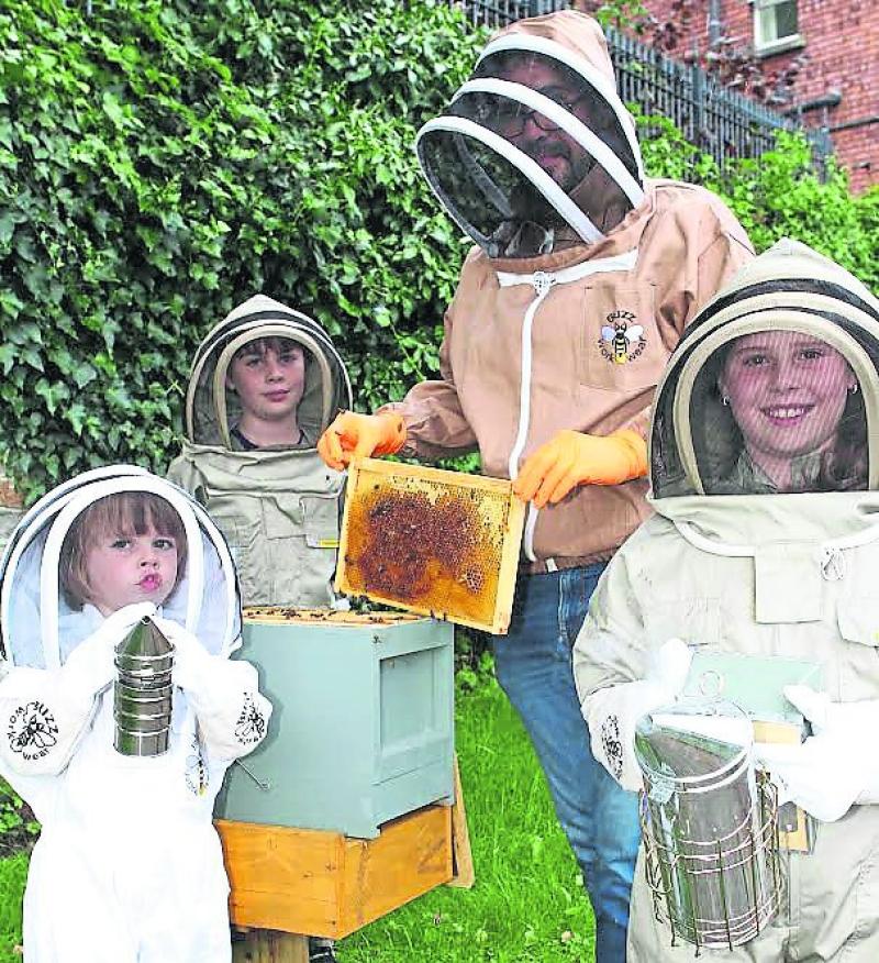 Derry beekeepers buzzing with £9,600 funding boost