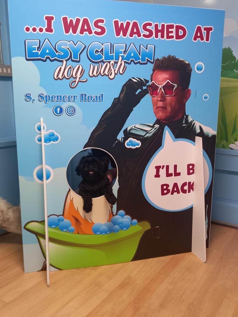 Northern Ireland’s first 24/7 self-service dog wash opens in Derry 