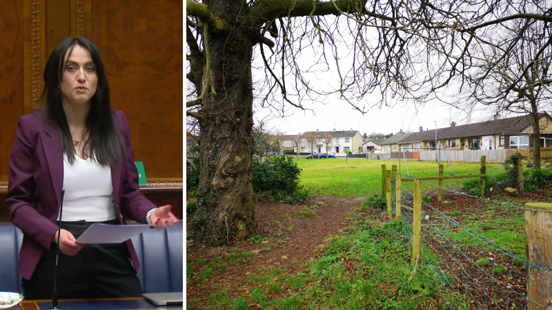 County Derry planning concerns raised at Assembly